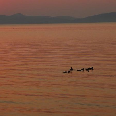 Aranyhid Hotel Balatonboglar Luaran gambar