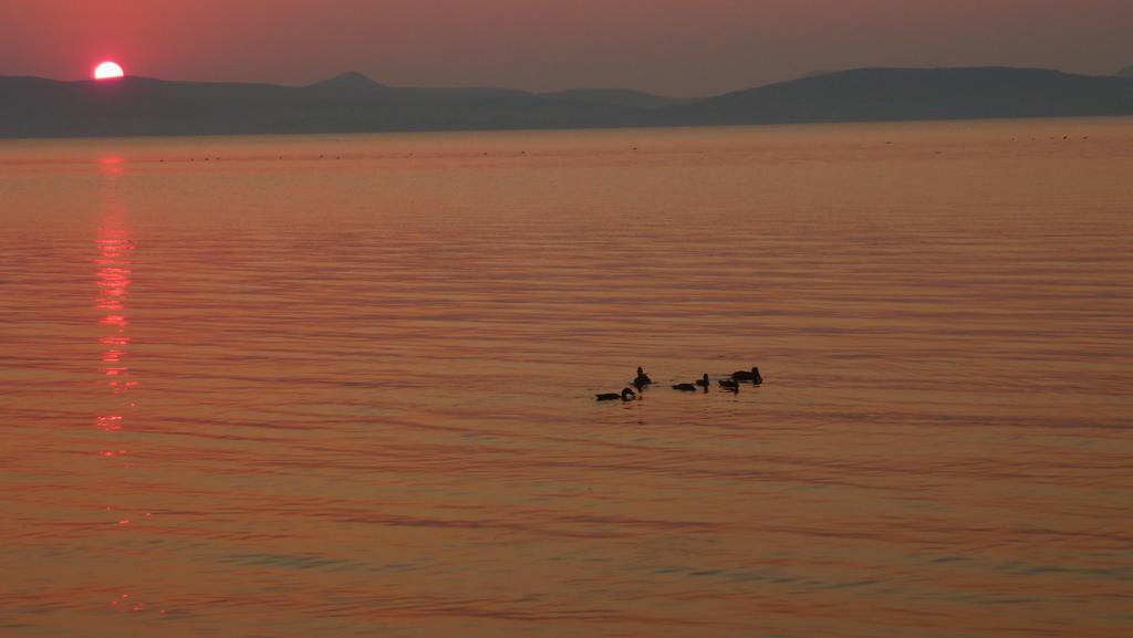 Aranyhid Hotel Balatonboglar Luaran gambar