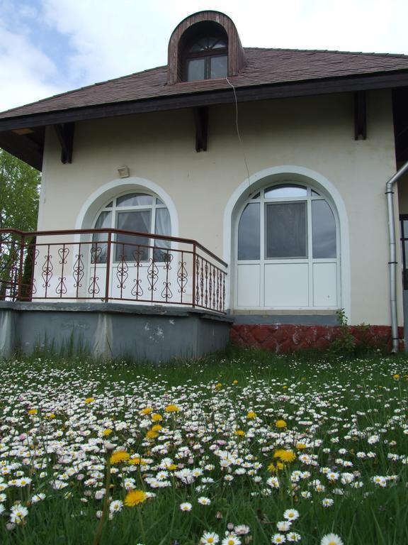 Aranyhid Hotel Balatonboglar Luaran gambar